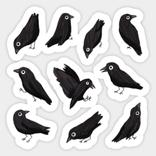 Cartoon crow pack Sticker